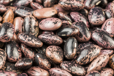 Similar image 21049295