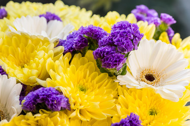 Similar image 21049296