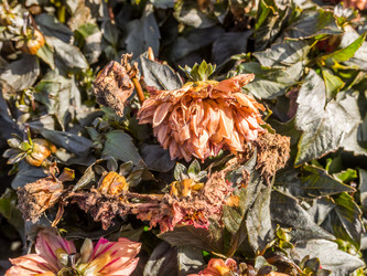 Similar image 21049297