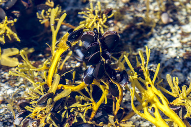 Similar image 21049307