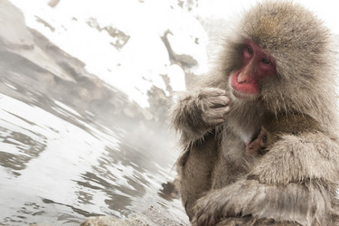 Similar image 21049315