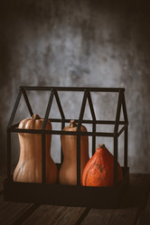 Similar image 21048128