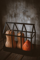 Similar image 21048223