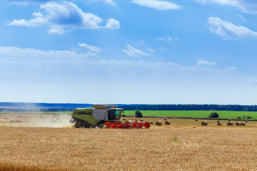 Similar image 21074497