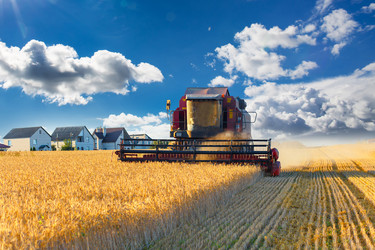 Similar image 21074499