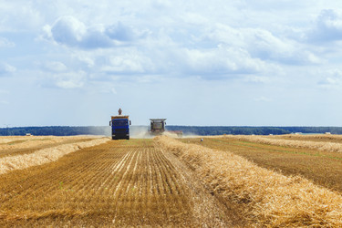 Similar image 21074504