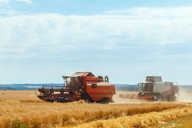 Similar image 21074509