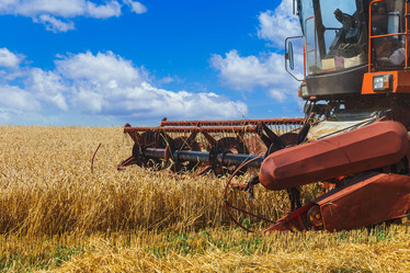 Similar image 21071640