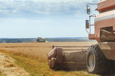 Similar image 21071644