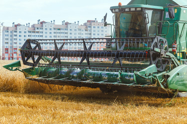 Similar image 21071796