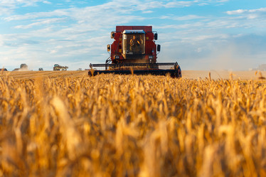 Similar image 21071797