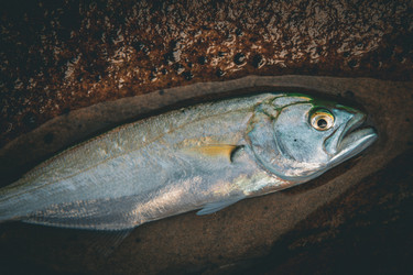 Similar image 21048254