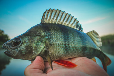 Similar image 21048260