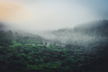 Similar image 21048282