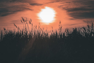 Similar image 21048284