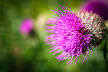 Similar image 21048290