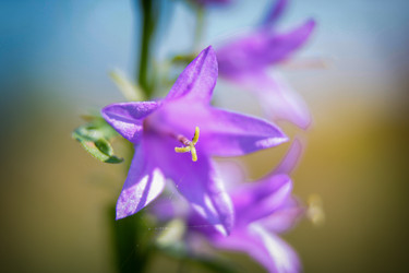 Similar image 21048291