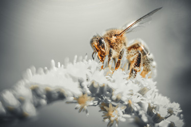 Similar image 21048292