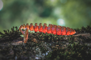 Similar image 21048294