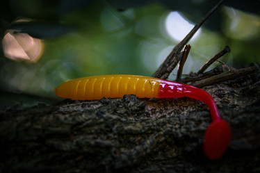 Similar image 21048297