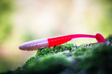 Similar image 21048298