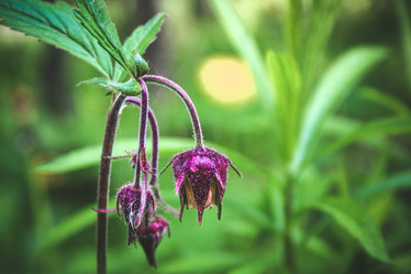 Similar image 21048307