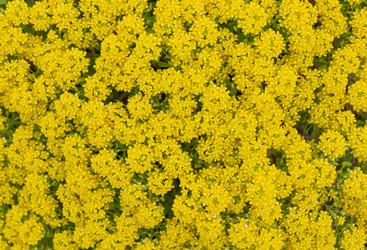 Similar image 21049614