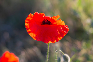 Similar image 21049615