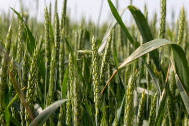 Similar image 21049630