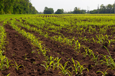 Similar image 21049631