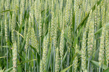 Similar image 21049632