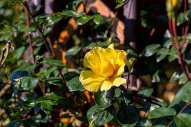 Similar image 21049633