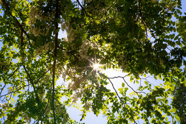 Similar image 21049634