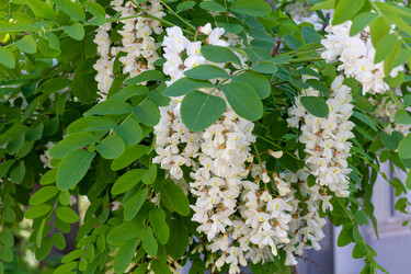 Similar image 21049635