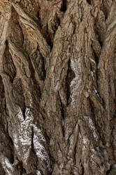 Similar image 21049639