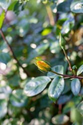 Similar image 21049643