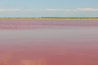 Similar image 21049646