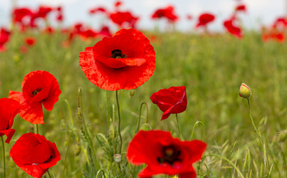 Similar image 21049648