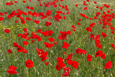 Similar image 21049649