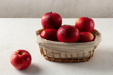 Similar image 21049654