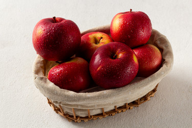 Similar image 21049655