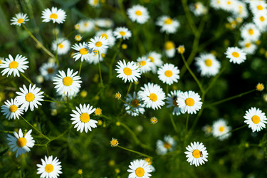 Similar image 21049663