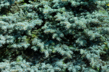 Similar image 21049668