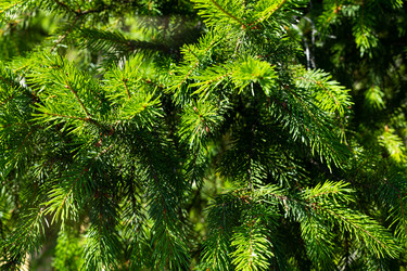 Similar image 21049669