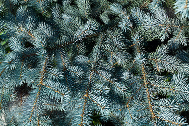 Similar image 21049670