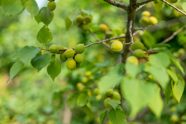 Similar image 21049681