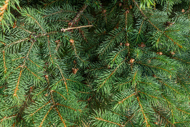 Similar image 21049696