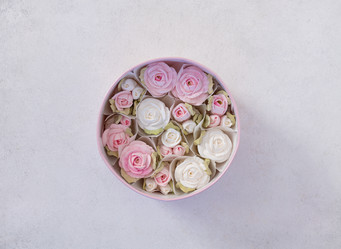 Similar image 21049710