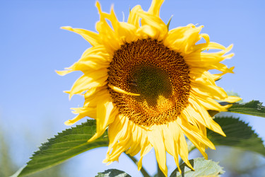 Similar image 21049712