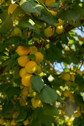 Similar image 21049714